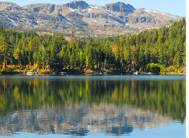 Bittman Bliss | Tahoe Wellness Seminars, Workshops, Inspirational Books & CDs